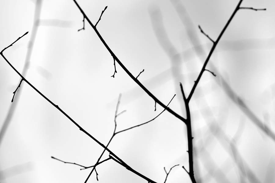 10. Künstlermesse Dresden